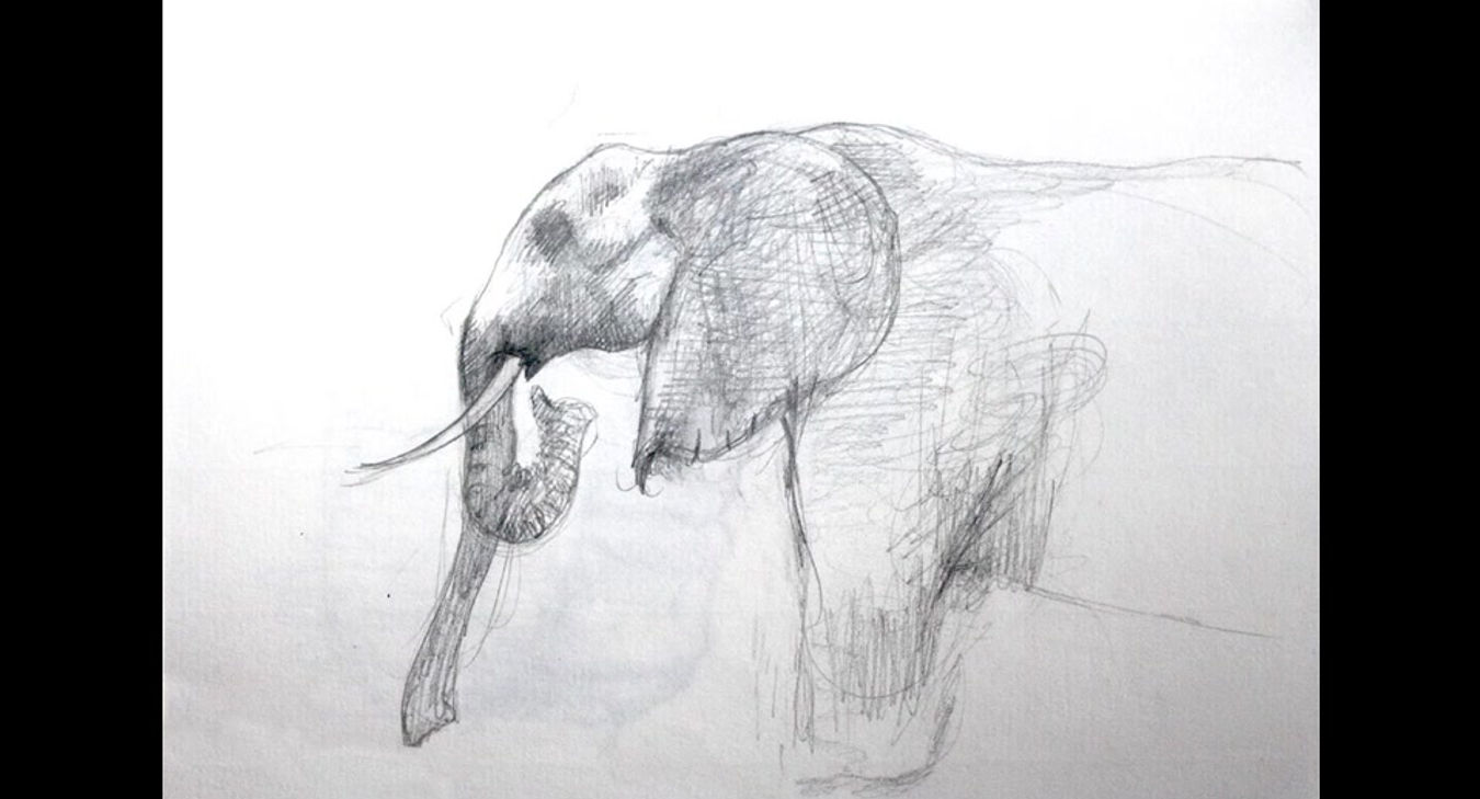 Carnet de croquis 2015